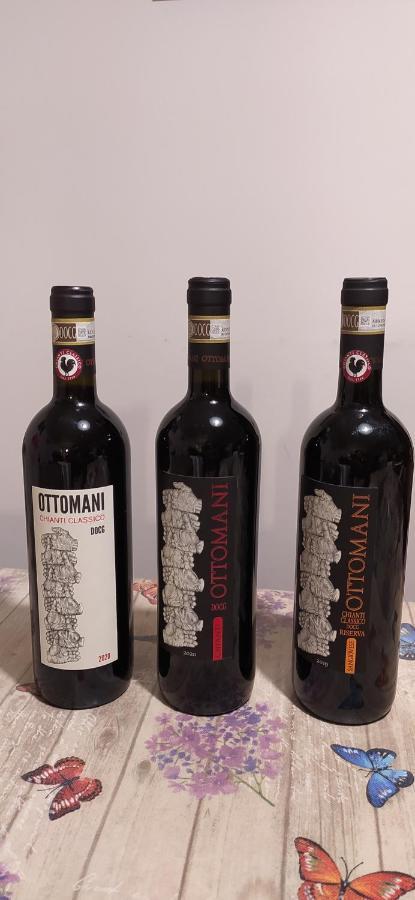 Appartamento Sezzate 40 Strada in Chianti ภายนอก รูปภาพ