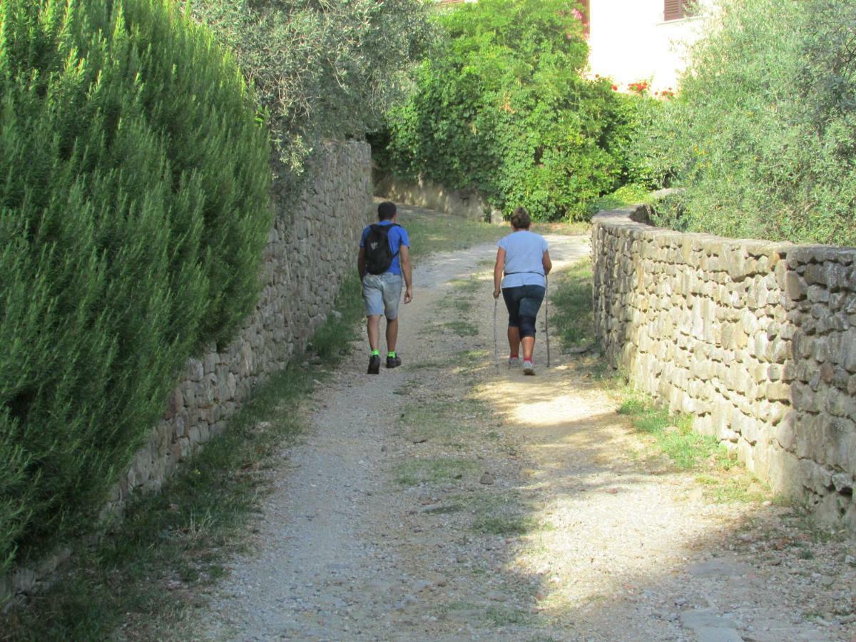 Appartamento Sezzate 40 Strada in Chianti ภายนอก รูปภาพ